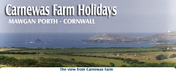 Welcome to the Carnewas Farm Holidays. For the best value for money Self Catering Farm Holidays in the area. Ideally located for touring Cornwall