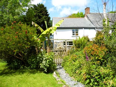 Holiday Cottage -  St Keverne - Cornwall