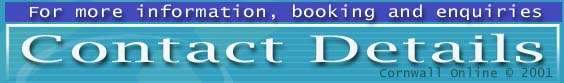Cornwall Online Contact details