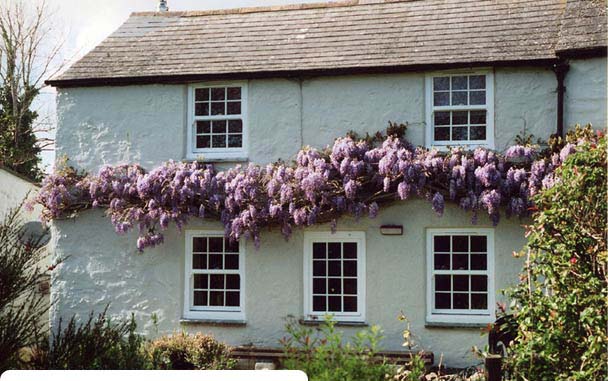 Chy-an-Heyl. Self Catering in St Erth,  Self Catering in Hayle