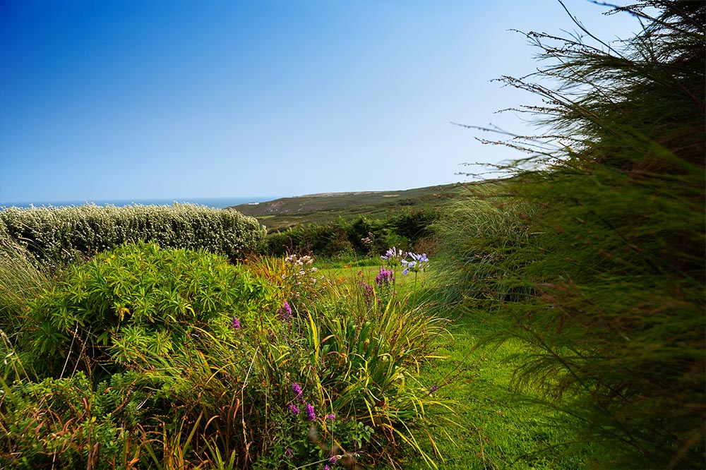 Mature clifftop garden with sea views at Chy Barnett holiday cottage, Zennor