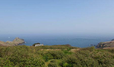 Gurnards head