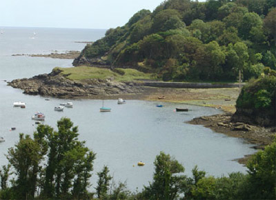 lizard peninsula