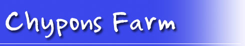 Self-catering at Chypons farm - near St Ives
