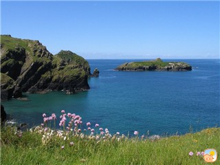 Mullion Harbour