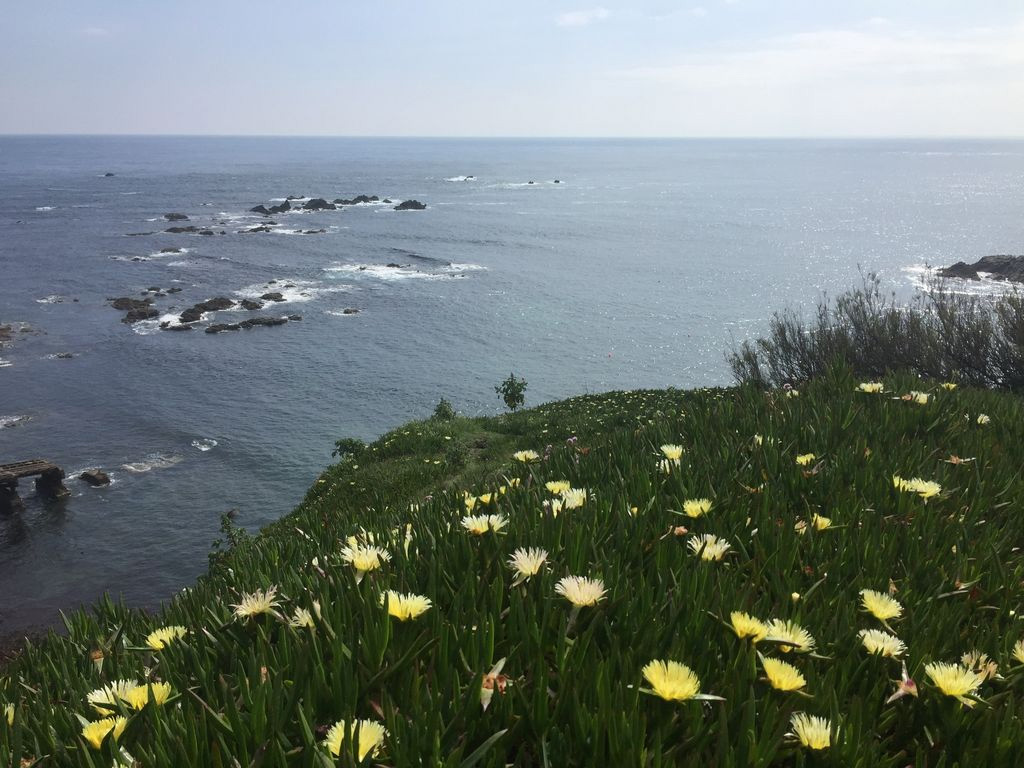 Clifftop Cottage Mullion