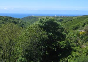 View from Clifton House