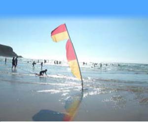 Coast Cottage - Mawgan Porth