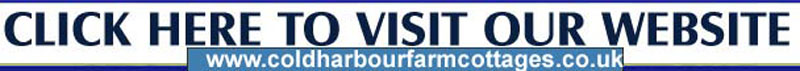 Cornwall Online Contact details