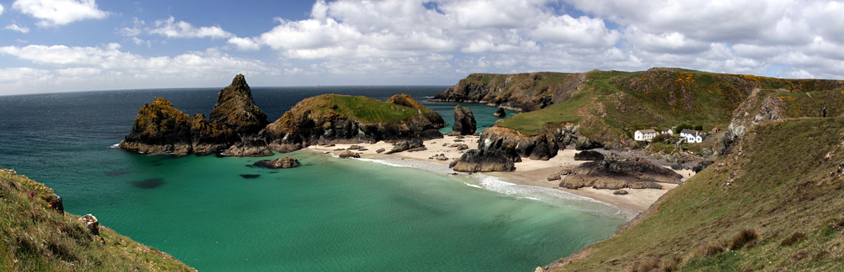 Kynance Cove Lizard 
