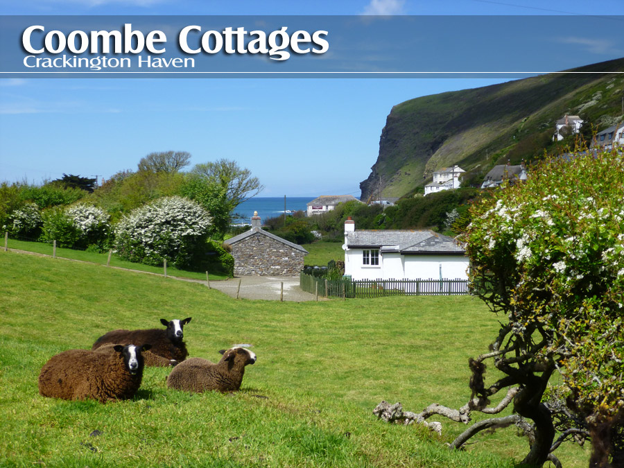 Coombe Cottages in Crackington Haven