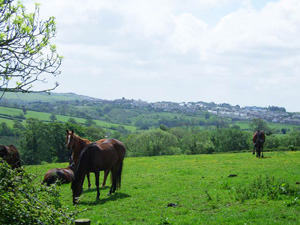 Coriander Cottages - Fowey - Cornwall
