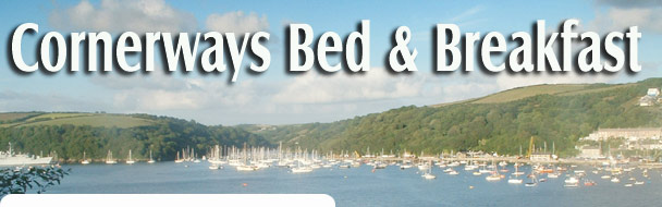 The Fowey Estuary