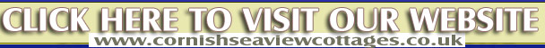 Cornwall Online Contact details