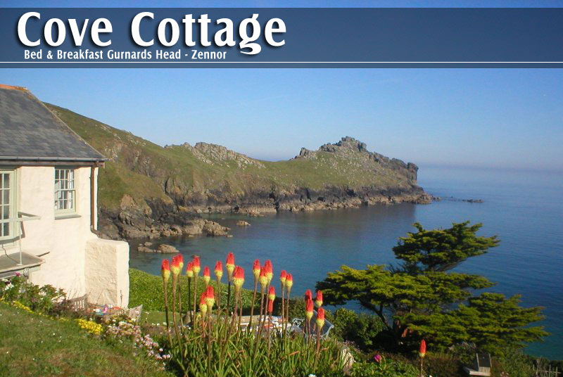 Romantic Bed and Breakfast over looking the cliffs with stunning sea views  - Lands end
