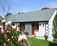 The purpose-built lodges in the garden at Crown House