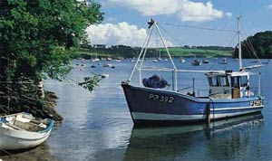 Holiday Cottages  Looe Plymouth Area