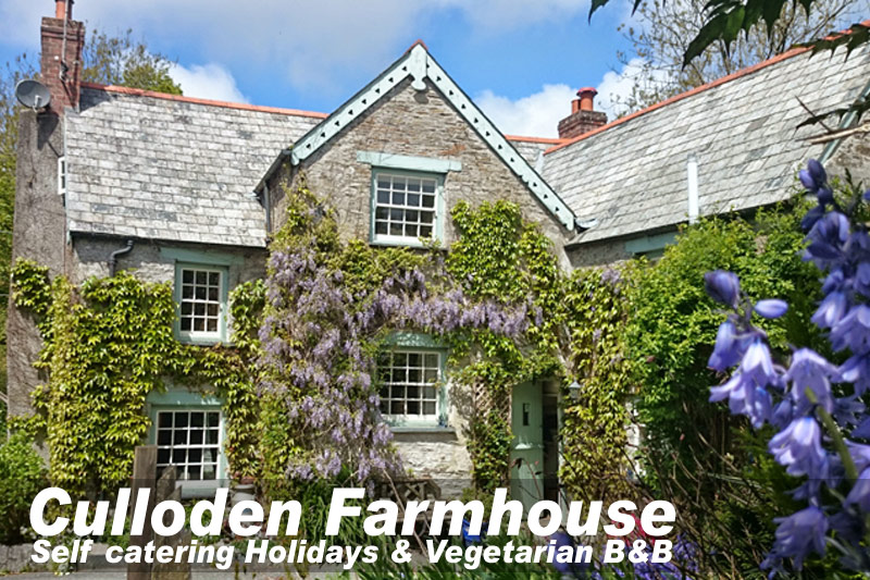 Self Catering Holiday Cottage North Cornwall