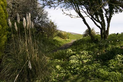 grounds Tintagel Holiday Cottage - Delamere Holiday Bungalows  near Tintagel