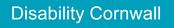 Disability Access