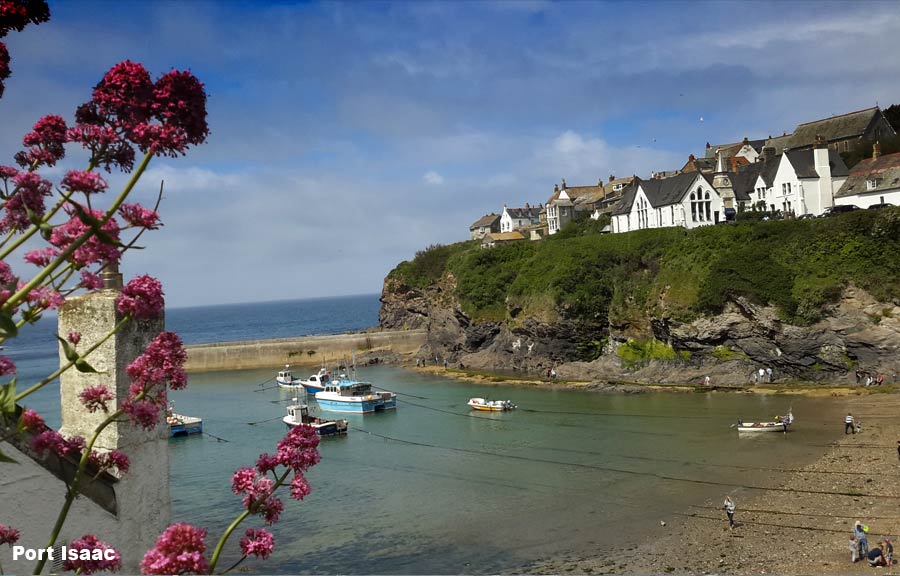 holiday cottage in port isaac 