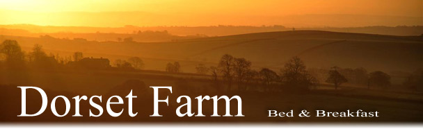 Dorset Farm - Bed and Breakfast Launceston