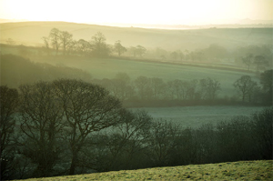Dorset Farm - Self Catering in Launceston