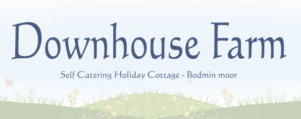 Holiday Cottage - Bodmin Moor
