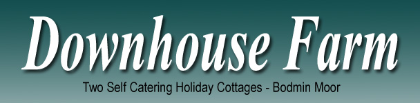 Holiday Cottage - Bodmin Moor