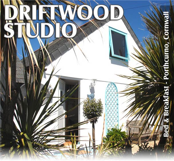 Driftwood Studio Bed and Breakfast