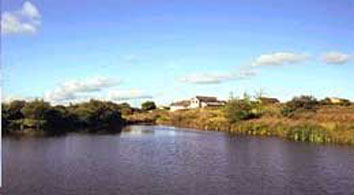 East Rose