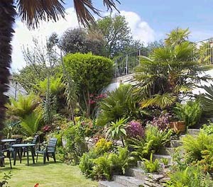 Hotel - Bed & Breakfast Looe. Hotel - Bed & Breakfast Cornwall. Fieldhead Hotel