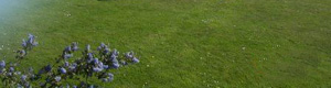 Self Catering in North Cornwall