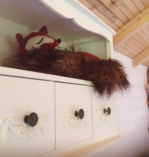 Foxy Shepherd Hut - Holidays in Cornwall