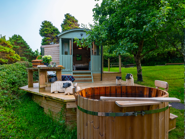 Foxy Shepherd Hut - Glamping Camping 