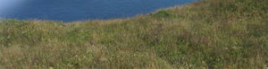 Camping, Touring & Self Catering - Cornwall