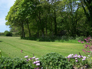 The camping field at Franchis, near Mullion