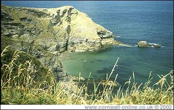 Coastal path between Port Quin and Port Isaac