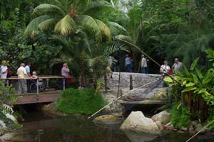 The Eden Project