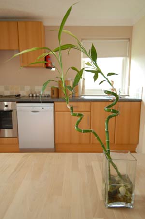 Gwithian Holiday Suites - Holiday accommodation near St Ives