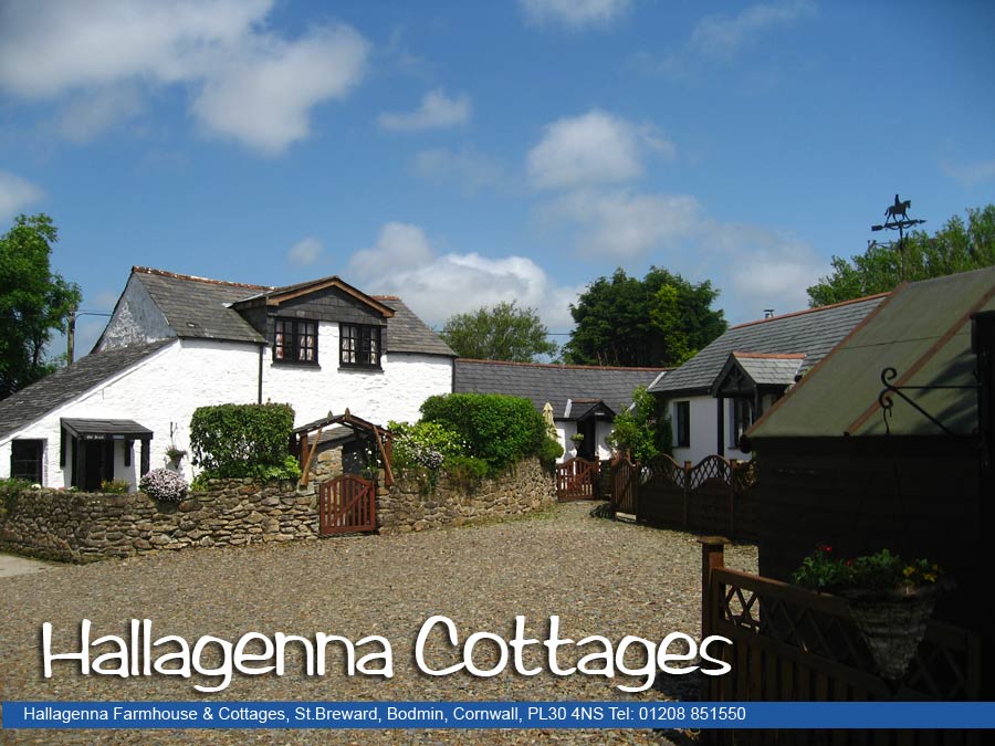 Hallagenna Holiday Cottages Bodmin Moor
