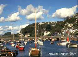 Harbour Reach consists of a spacious family apartment (sleeps 4)  & a cosy maisonette (sleeps 3)  situated in the heart of East Looe one minute from the main beach , coastal footpath, harbour & shops. They are across the road from each other, so handy for large parties.