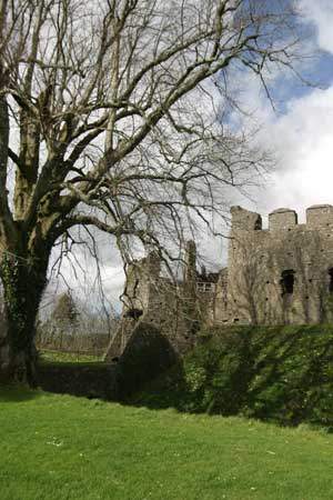 Restormel Castle, Lostwithiel, Cornwall - English Heritage