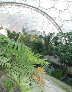 Eden Project - view from the top of the waterfall