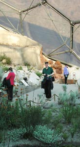 Eden Project - warm temperate biome - Californian Chaparral