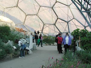 Eden Project - warm temperate biome