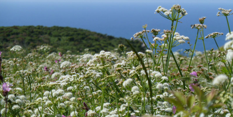 Higher Grenna Farm Holidays Self-catering Holidays  near Falmouth