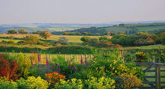 Bed and Breakfast Accommodation
