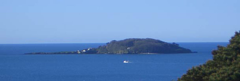 View of Looe Island