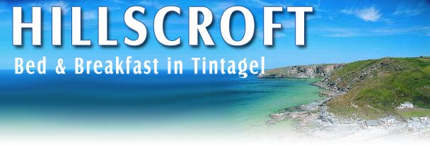 Hillscroft Guest House - Tintagel